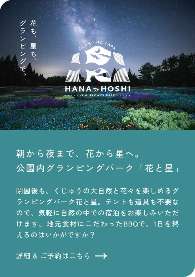 グランピングのバナー